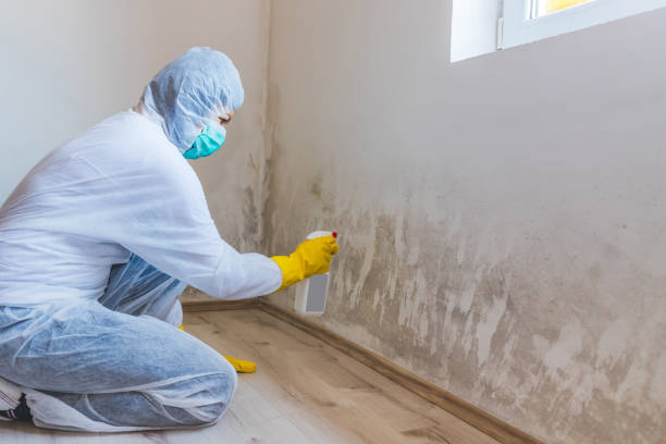 Mold Remediation specialist working in Greeley